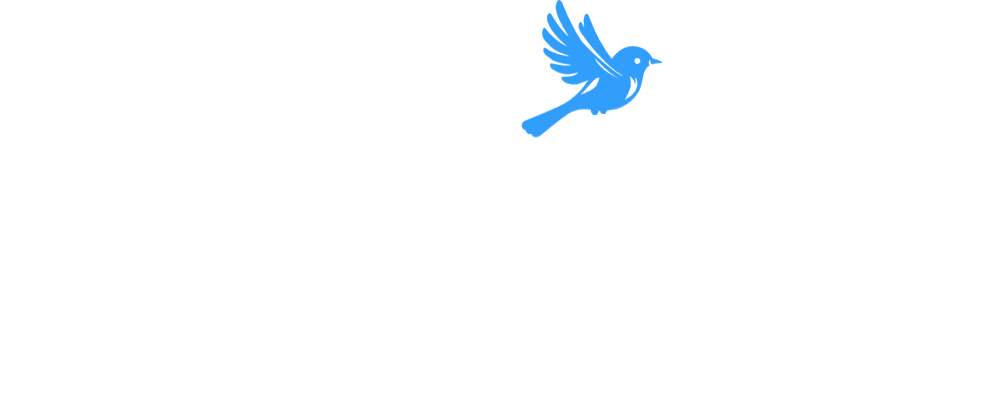 Boise Ecstatic Dance