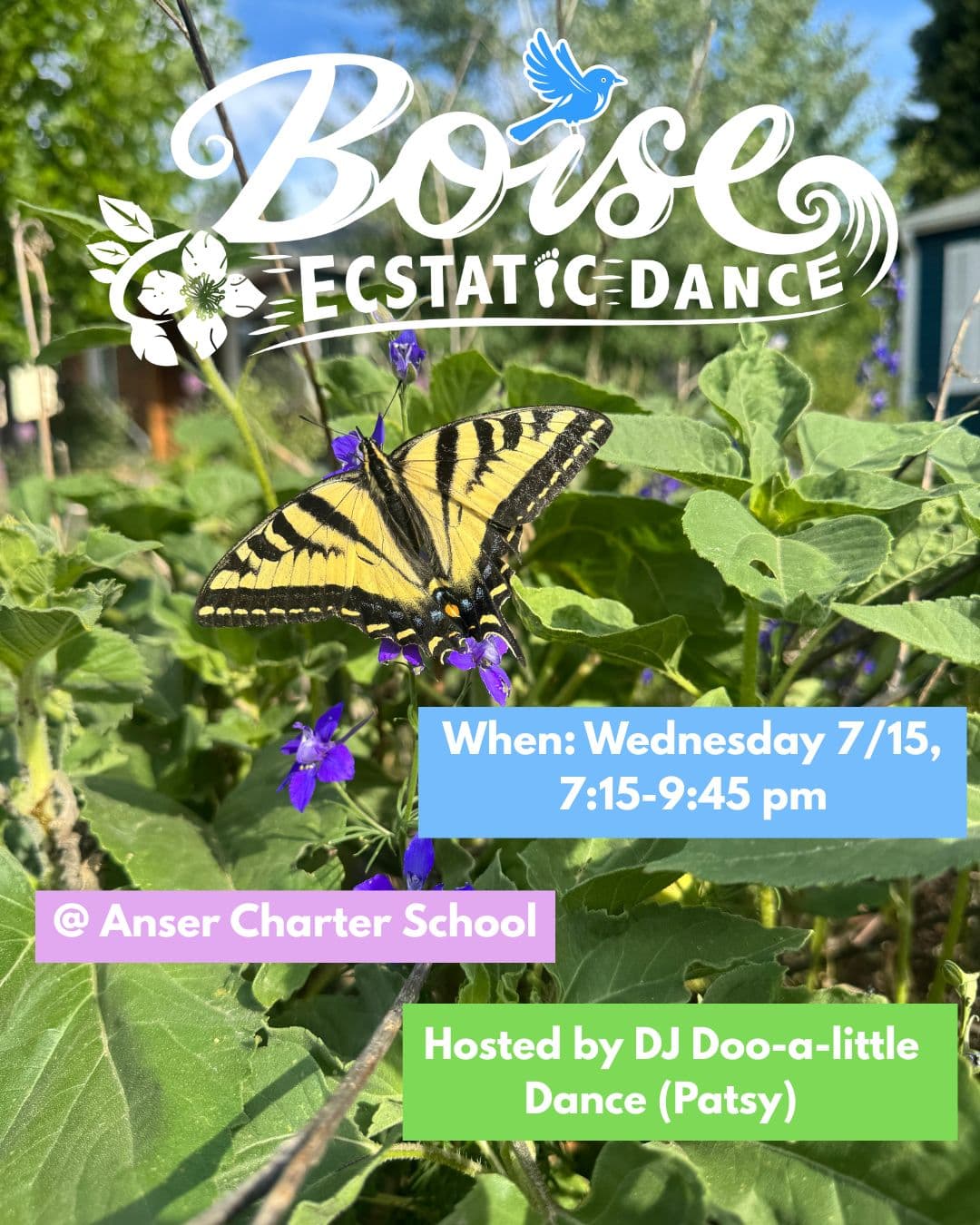 Wednesday dance with DJ Dooalittle Dance