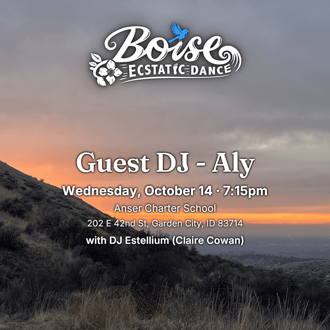 Guest DJ - Aly