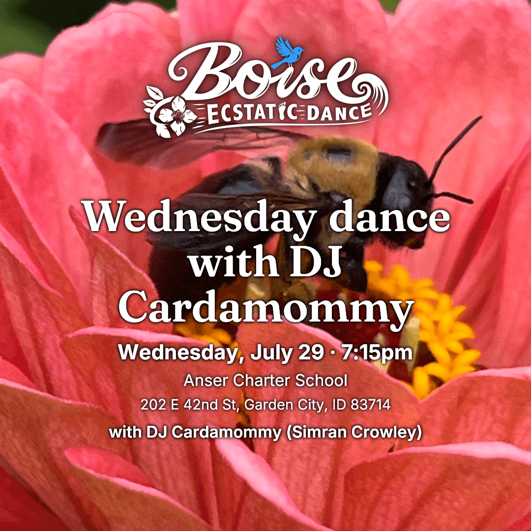 Wednesday dance with DJ Cardamommy